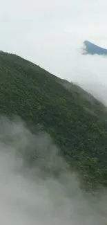 Serene green mountain wrapped in mist and fog.