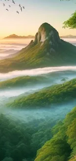 Serene mountain landscape at sunrise with misty green hills.