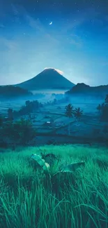 Mountain under a starry sky with lush greenery and blue tones.