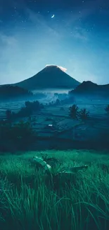 Nightscape of a serene mountain with starry sky and lush green foreground.