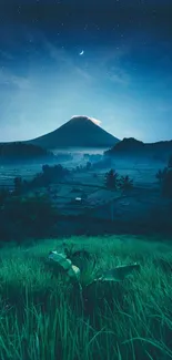 Moonlit mountain landscape with starry sky and green fields.