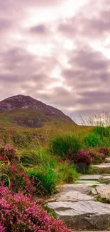 Scenic mobile wallpaper of mountain path with purple heather and cloudy sky.