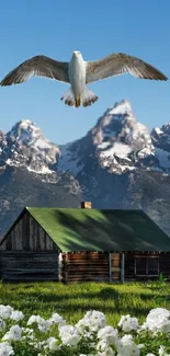 Rustic cabin in mountain landscape with flying bird.