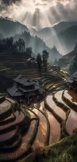 Mountain rice terraces at sunset with dramatic light.