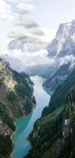 Tranquil river flowing through lush green mountain valley.