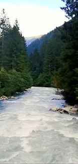 Pristine river flowing through lush green mountain forest.