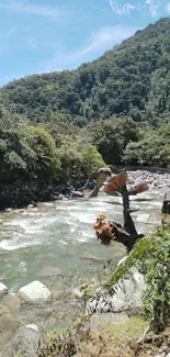 Serene river flowing through lush green mountains under clear blue sky.