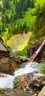 Flowing stream through lush green mountains and rocky landscape.