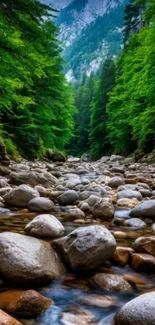 A serene mountain stream with lush green forests and rocky terrain.