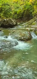 Serene mountain stream flowing through lush greenery.