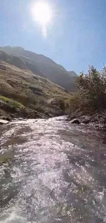 Serene mountain stream under a bright sky in a tranquil natural landscape.