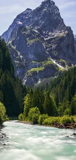 Stunning mountain stream with lush green forest, perfect for nature lovers.