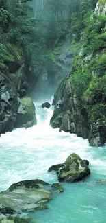 Serene mountain stream with lush greenery and flowing water.