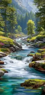A serene mountain stream flows through a lush green forest.