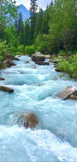 Serene mountain stream with lush greenery.