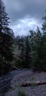 Serene mountain stream with lush greenery.