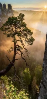 Tranquil mountain sunrise with a silhouetted tree and misty horizon.