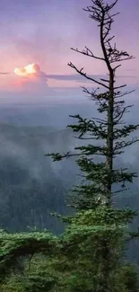 Silhouette of a tree against a violet mountain sunset with misty horizons.