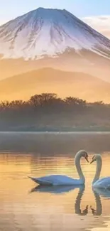 Two swans on a serene lake with a snow-capped mountain at sunrise.