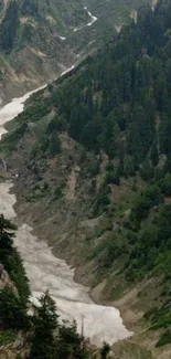 Scenic mountain valley with lush trees and winding snow path.