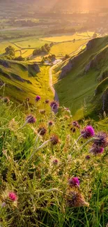 Lush mountain valley with wildflowers and golden sunlight.