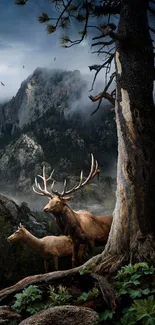 Majestic elk in foggy mountain forest landscape with towering peaks.