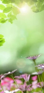 Tranquil mobile wallpaper with green leaves and pink flowers.