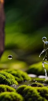 Artistic droplet figure on mossy landscape