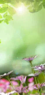 Vibrant green leaves and purple flowers in springtime wallpaper.