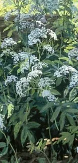 Lush green leaves with white flowers in nature-inspired wallpaper.