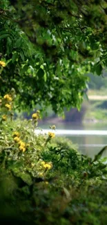 Serene lake view with lush greenery and yellow flowers.