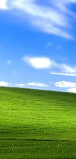 Serene landscape with green meadow and blue sky.