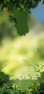 Green leaf frame with blurred background.