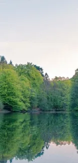 Mobile wallpaper of serene natural landscape with water reflections.