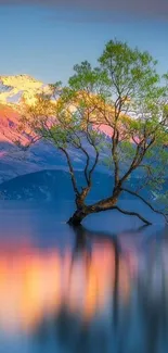 Lone tree in lake with mountain sunset background.