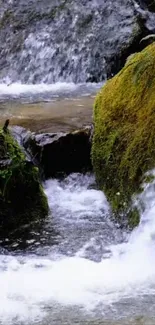 Tranquil stream flowing over mossy rocks in a serene nature setting.