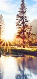 Serene sunrise over lake with pine trees.