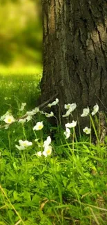 Tree trunk with wildflowers in sunlight.