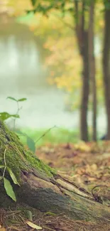 Mossy tree by a lake in a tranquil forest scene.