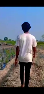 A person walking along a path in a lush, green landscape under a blue sky.