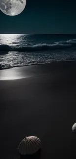 Moonlit beach with seashells at night.