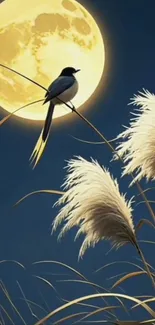 Bird on reeds with full moon background at night.