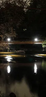 Serene night scene with bridge and water reflection.