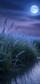Peaceful night lake scene with moonlit sky and grass.