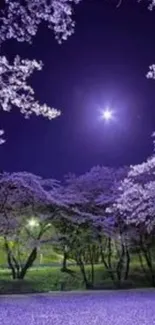 Serene night with cherry blossoms and moonlit purple sky.