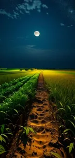 Night field path illuminated by the moon, showcasing lush greenery.