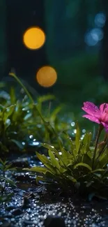 Pink flower amidst greenery at night.