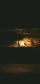 Serene night forest scene with a glowing full moon.