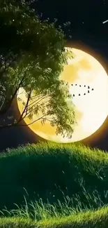 A serene night landscape with a full moon behind a tree over grassy hills.