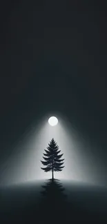 Dark night landscape with a tree and moonlight.